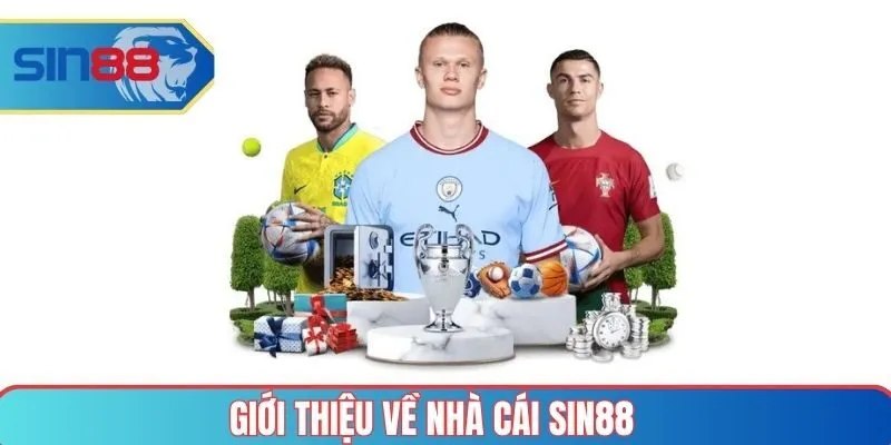 Tổng quan về nhà cái SIN88